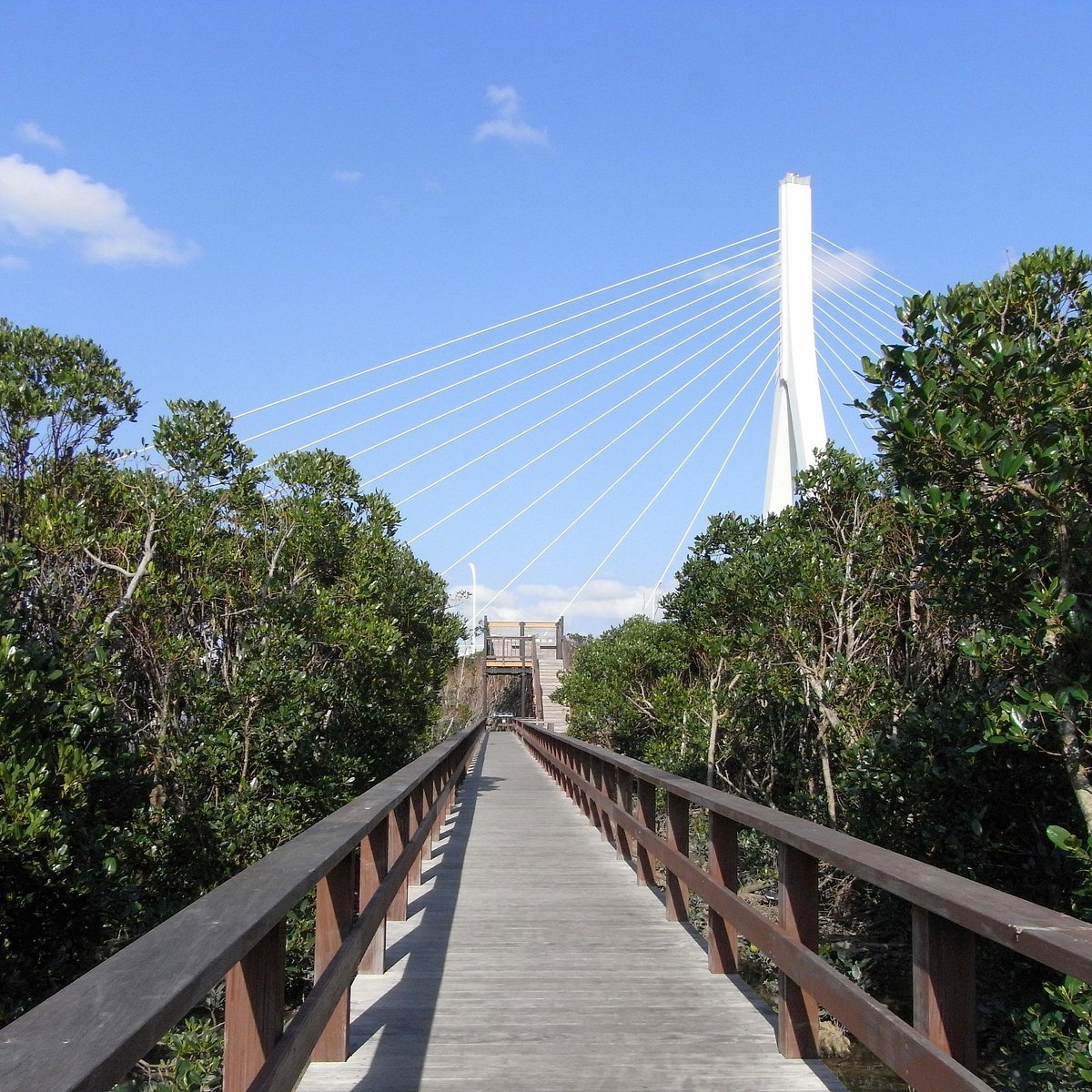 🌊 만코 물새・습지 센터 이미지 6